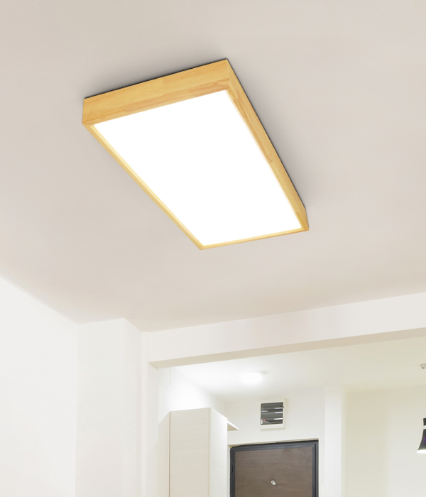 디오 2등 50W 국산LED거실등 아파트거실등